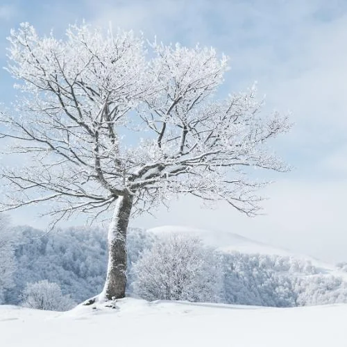 Winterdienst in Lügde